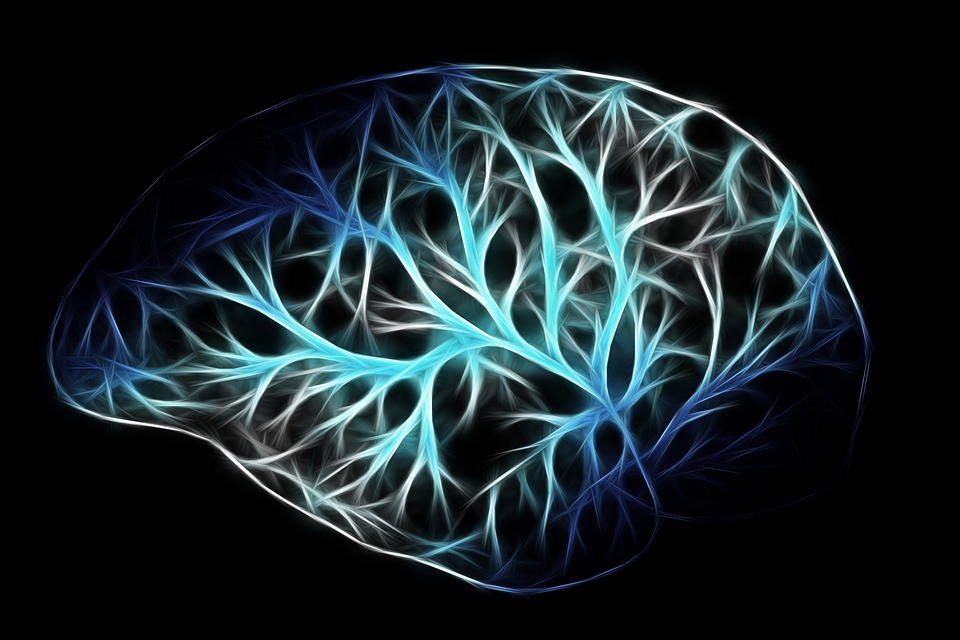 Neurociência e realidade por que a mente humana foge de alguns assuntos