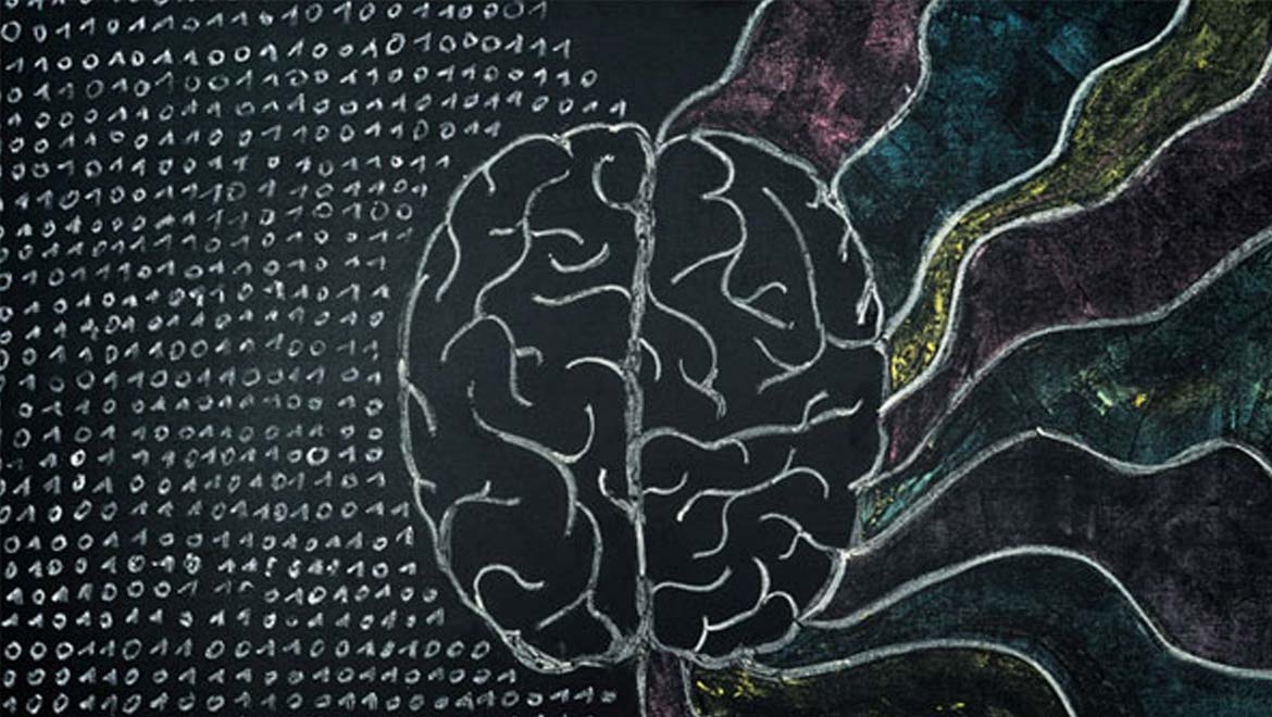 mitos sobre o cerebro