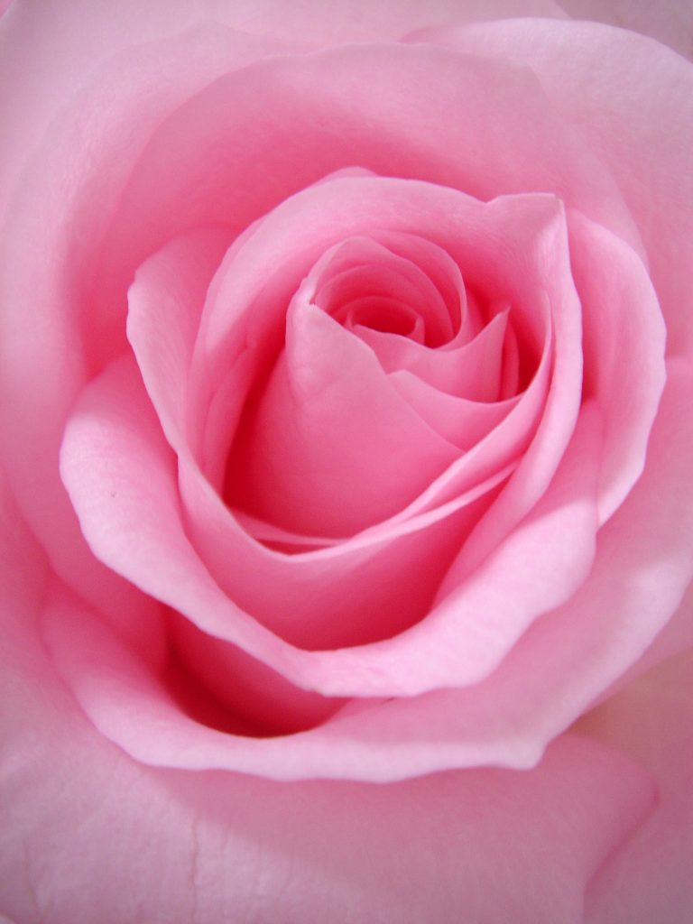 outubro rosa