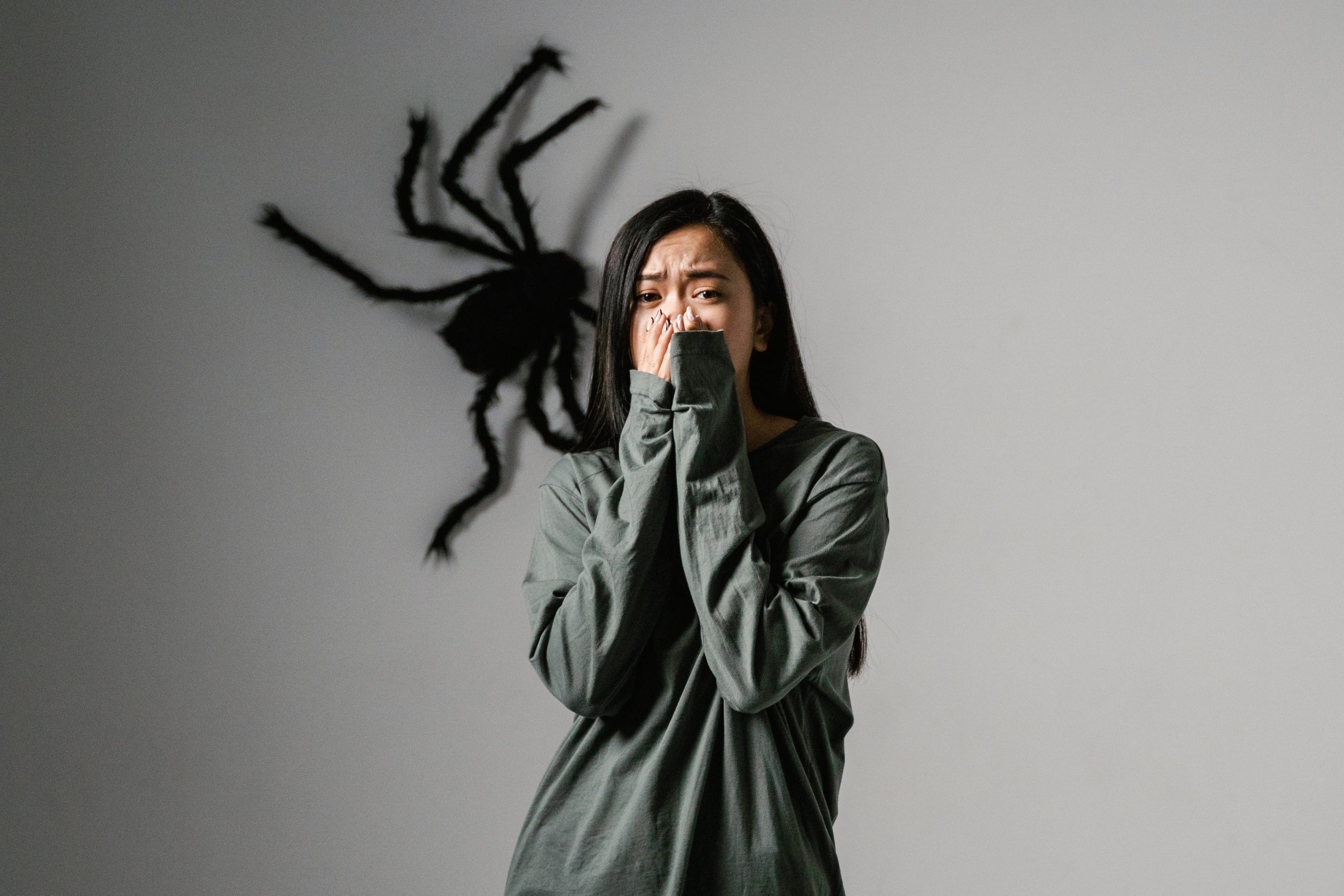 Medo De Aranhas O Que Caracteriza A Aracnofobia 